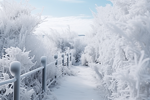 大雪风光冬天高清摄影图
