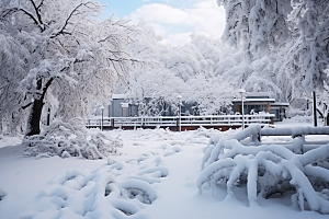 大雪风光景色冬天摄影图