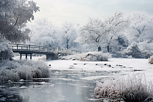 大雪风光自然景色摄影图