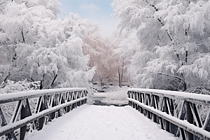大雪风光唯美景色摄影图