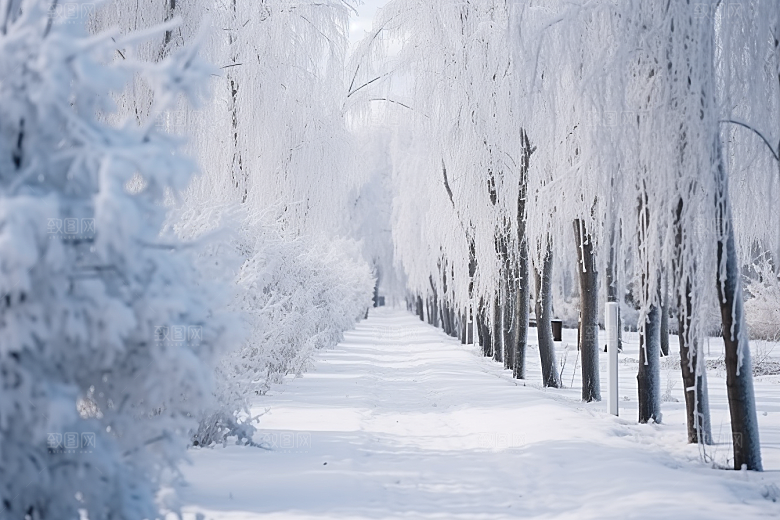 大雪风光唯美环境摄影图