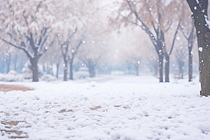大雪风光冬季环境摄影图