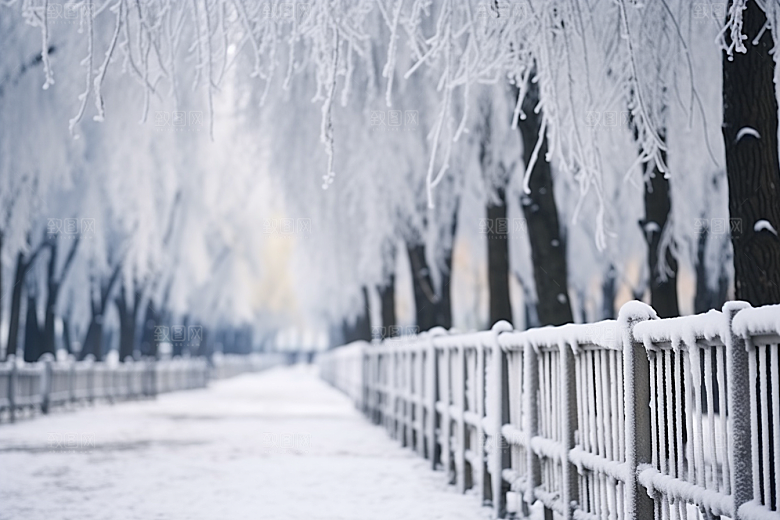 大雪风光环境景色摄影图