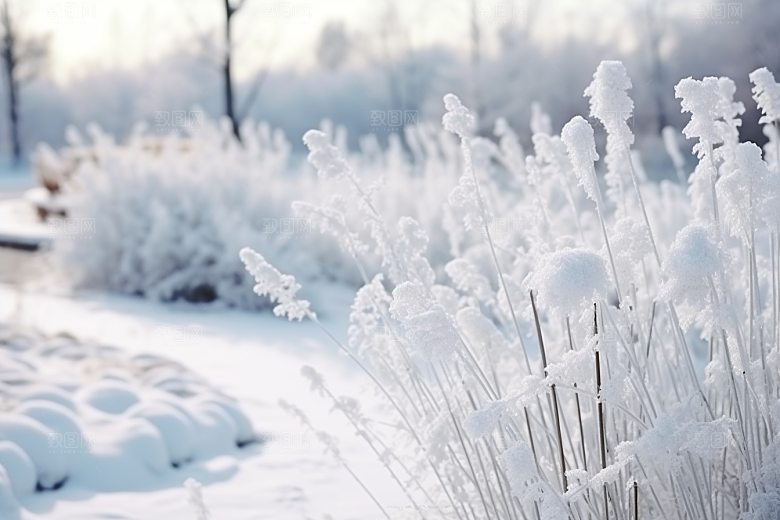 大雪风光唯美冬季摄影图