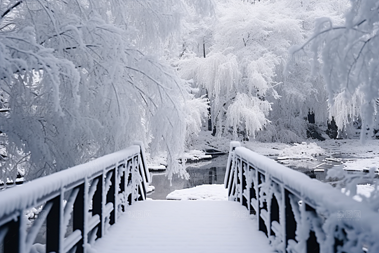 大雪风光景色冬天摄影图