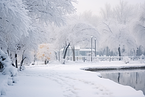 大雪风光冬季唯美摄影图