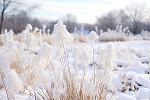 大雪风光景色环境摄影图