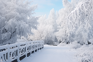 大雪风光户外寒冷摄影图