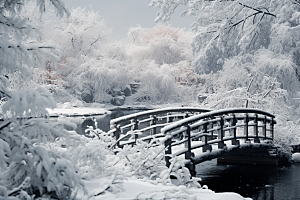 大雪风光自然高清摄影图