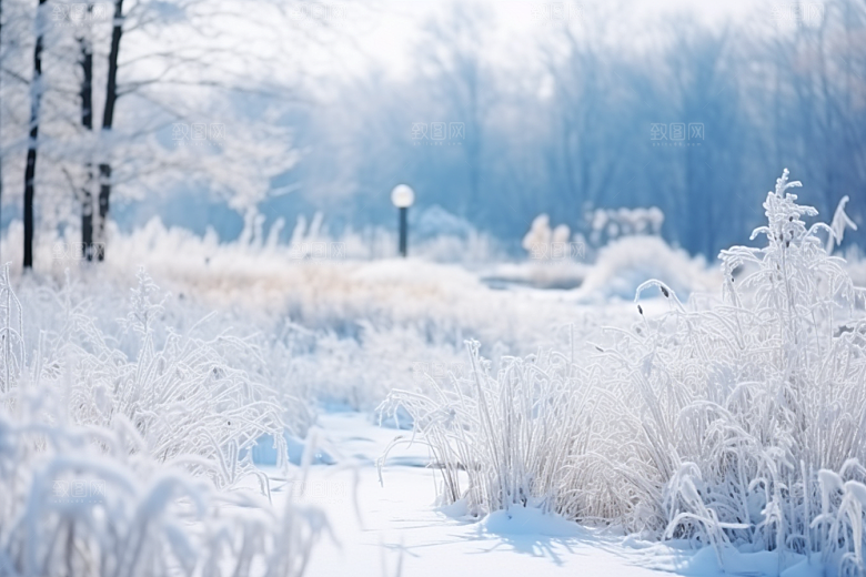 大雪风光冬天唯美摄影图
