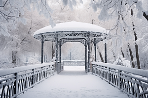 大雪风光唯美室外摄影图