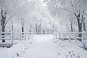 大雪风光冬季冬天摄影图
