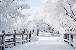 大雪风光环境室外摄影图
