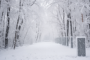 大雪风光景色高清摄影图
