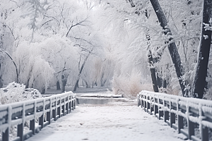 大雪风光唯美环境摄影图