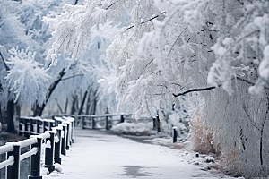 大雪风光室外环境摄影图