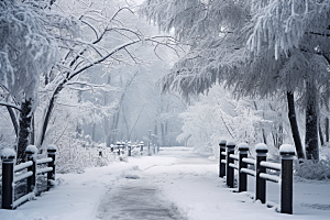 大雪风光室外寒冷摄影图