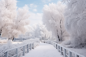 大雪风光唯美室外摄影图