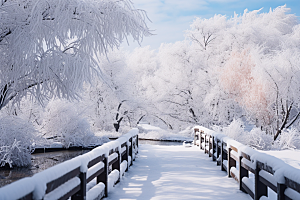 大雪风光景色唯美摄影图