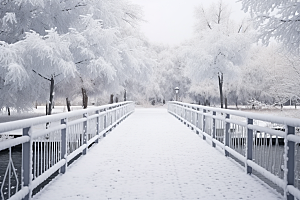 大雪风光自然户外摄影图