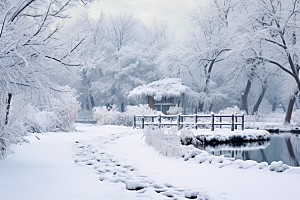 大雪风光高清冬天摄影图
