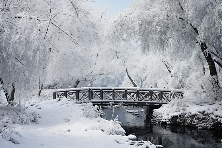 大雪风光寒冷景色摄影图