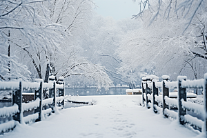 大雪风光寒冷环境摄影图