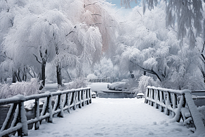 大雪风光自然户外摄影图