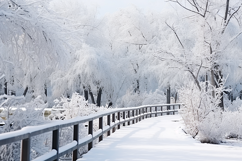 大雪风光高清自然摄影图