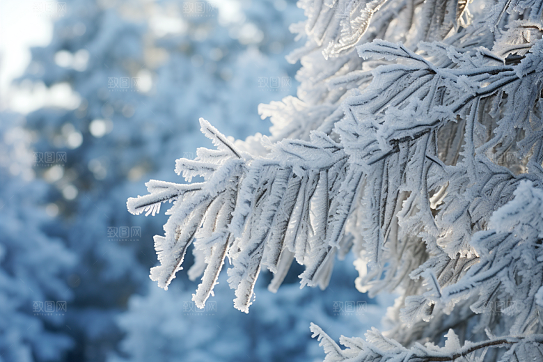 大雪风光景色唯美摄影图