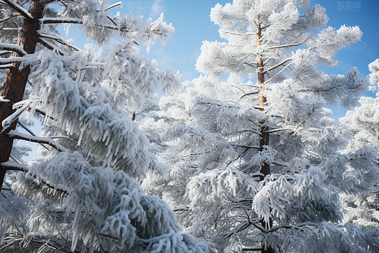 大雪风光高清自然摄影图