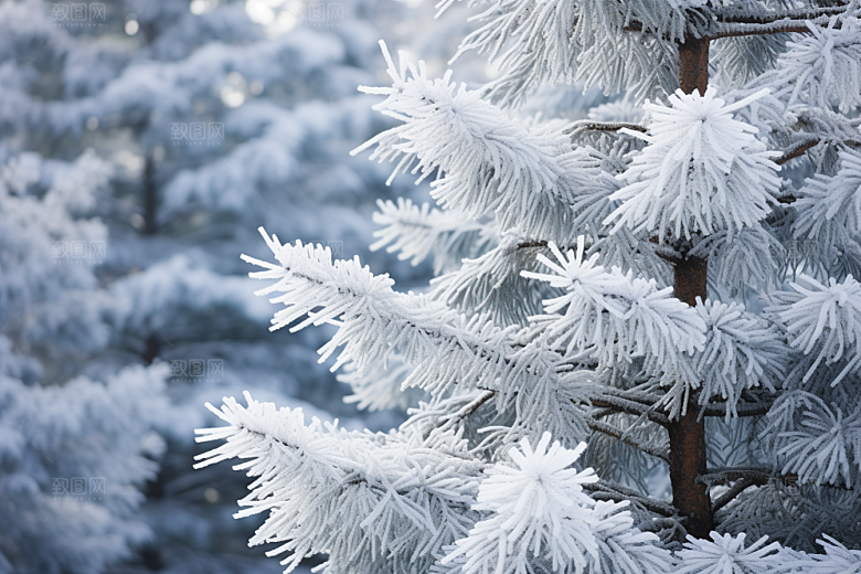 大雪风光环境高清摄影图