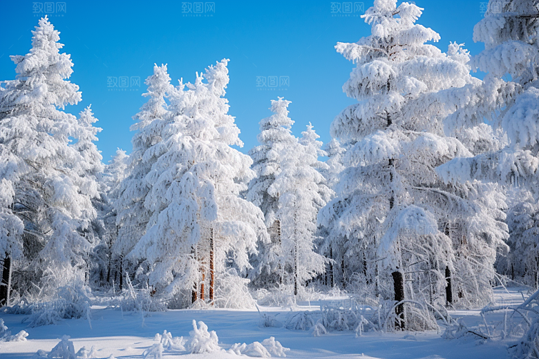 大雪风光高清环境摄影图