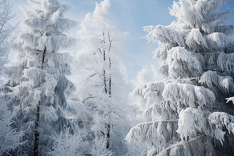 大雪风光寒冷景色摄影图