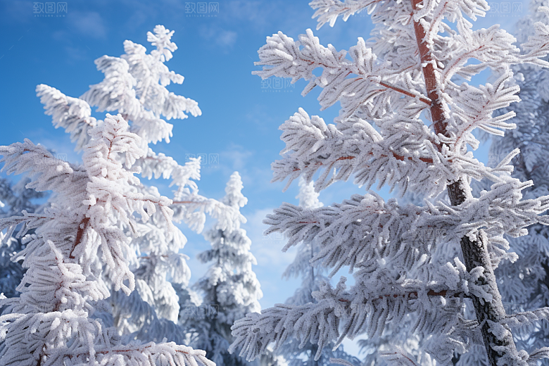 大雪风光室外户外摄影图