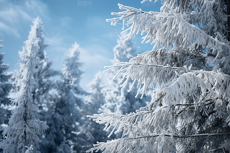 大雪风光景色高清摄影图