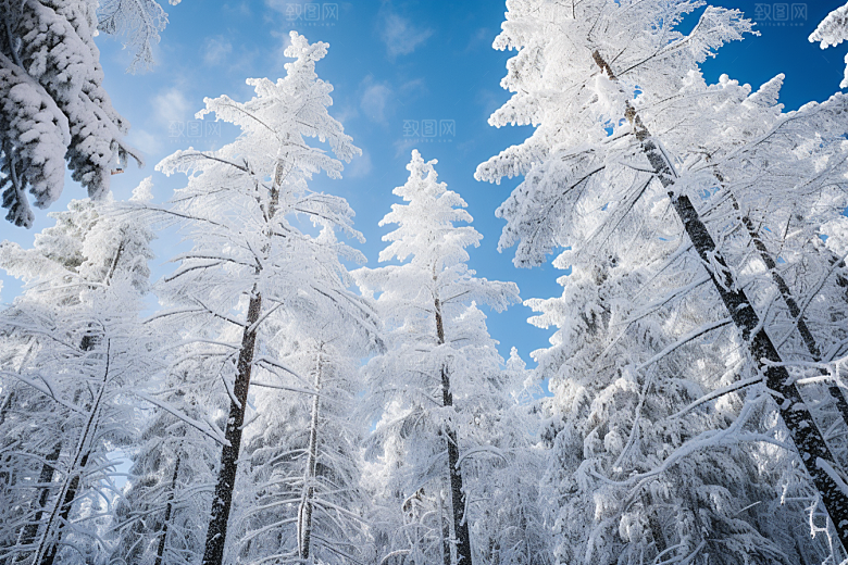 大雪风光高清自然摄影图