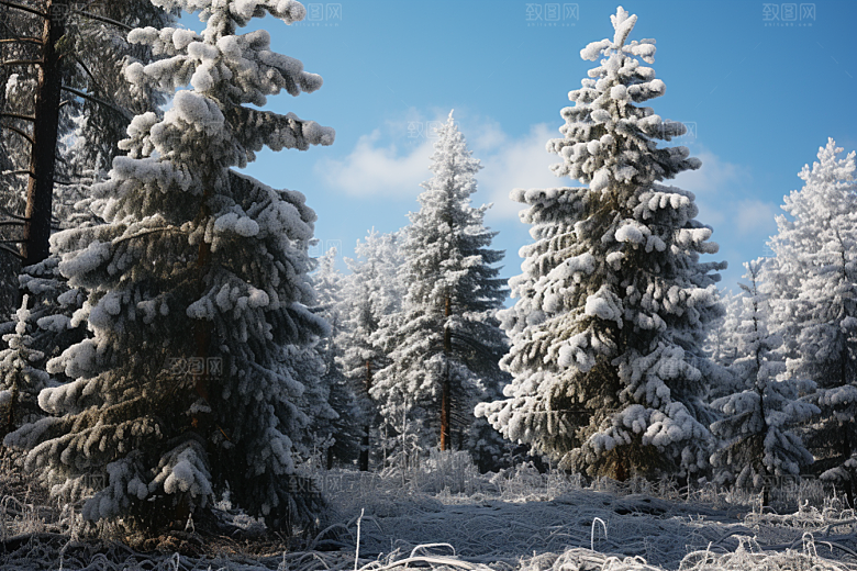 大雪风光景色寒冷摄影图