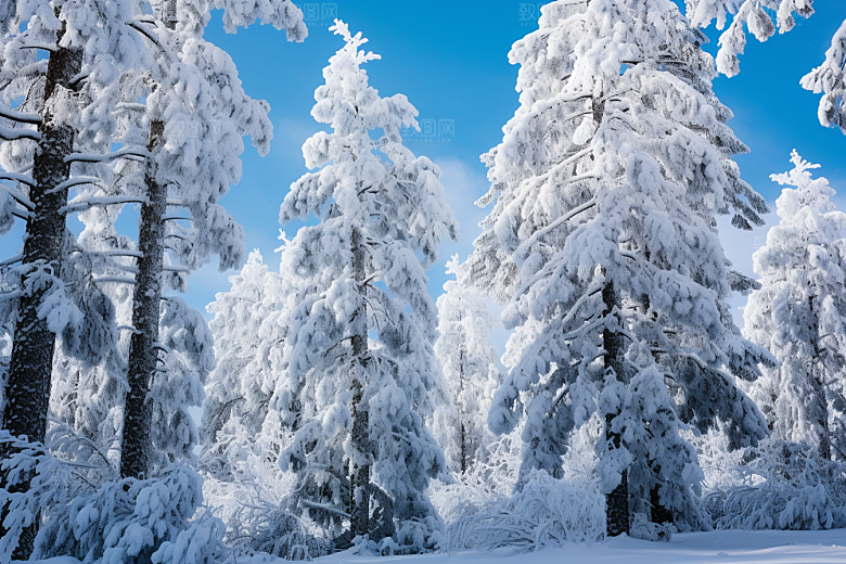 大雪风光高清唯美摄影图