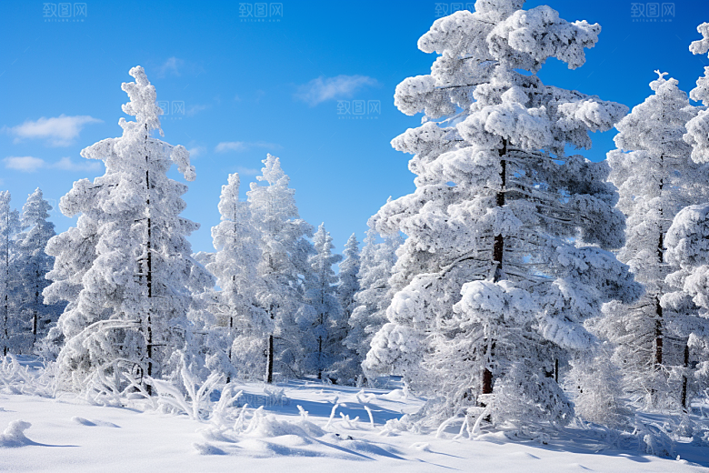 大雪风光高清冬季摄影图