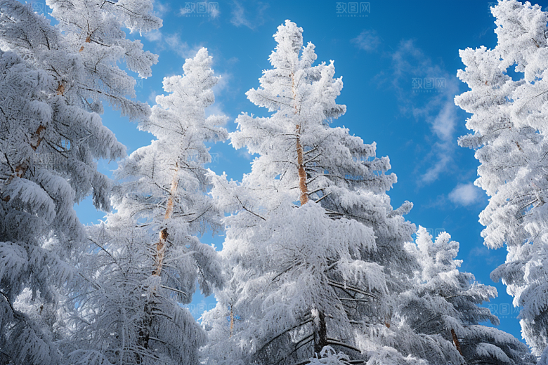 大雪风光寒冷冬季摄影图