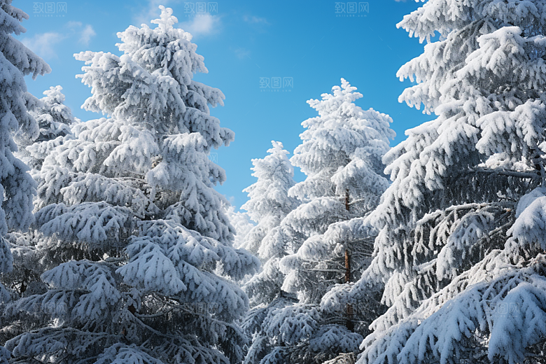 大雪风光冬季户外摄影图