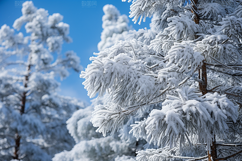 大雪风光户外唯美摄影图