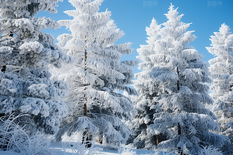 大雪风光高清冬季摄影图