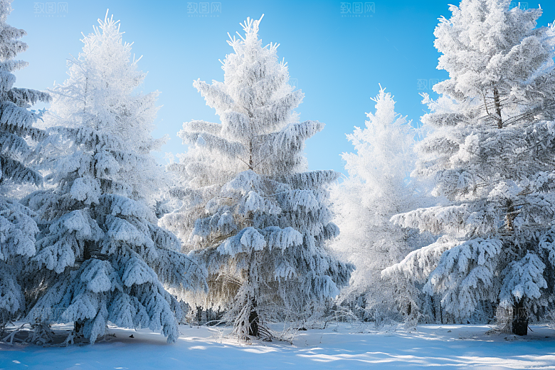 大雪风光景色唯美摄影图