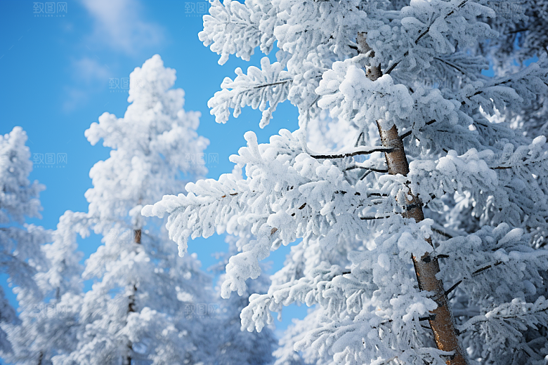 大雪风光自然冬天摄影图
