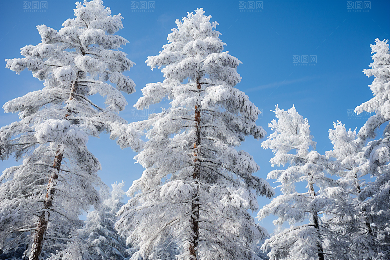 大雪风光户外自然摄影图