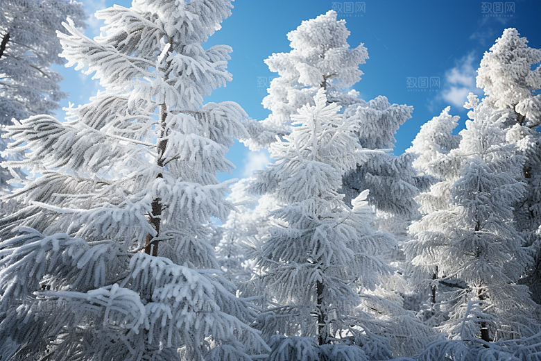 大雪风光冬天唯美摄影图