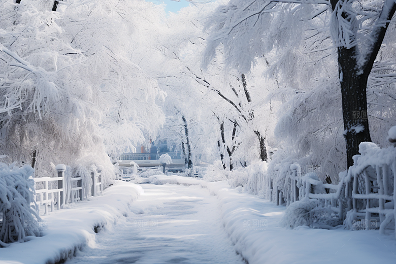 大雪风光环境寒冷摄影图
