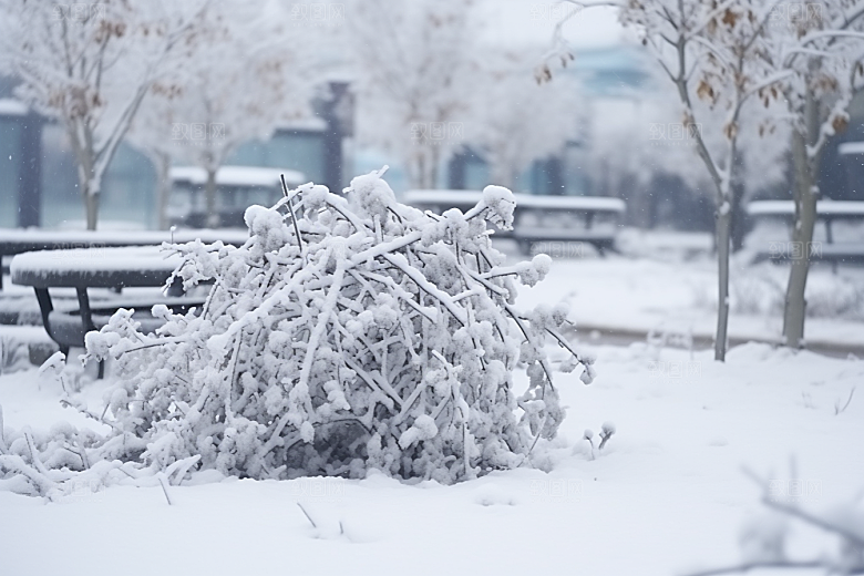 大雪风光自然唯美摄影图